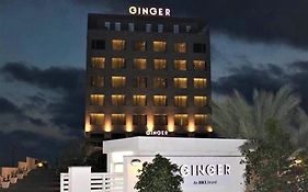Ginger Dwarka